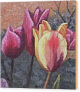 Tulips In The Garden Wood Print