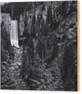Tumalo Falls 2 Black And White Wood Print