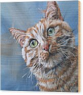 Tuna Time - Orange Cat Painting On Blue Wood Print