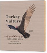 Turkey Vulture Cathartes Aura Wood Print