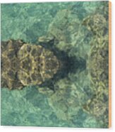 Turquoise Sea Water And Rocks Wood Print