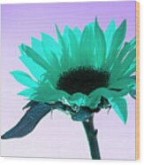 Turquoise Sunflower Art Wood Print