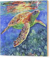 Turtle Reflections-pastel Colors Wood Print