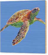 Turtle Reflections - Solid Background Wood Print