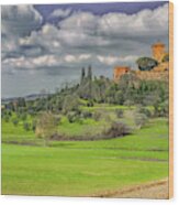Tuscany In Verdant Spring Wood Print