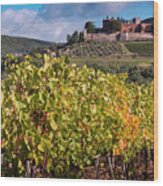 Tuscany Winery Wood Print