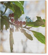 Twig And Berries Wood Print