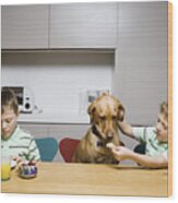 Twin Boys (8-10) Feeding Pet Dog At Table In Kitchen Wood Print
