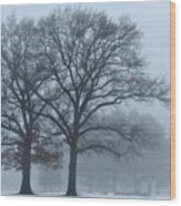 Twin Trees In The Fog Wood Print