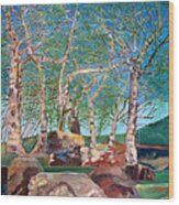 Twist Of Aspens On The Rocks Wood Print