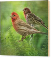 Two Little Finches Wood Print