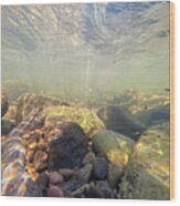 Underwater Scene - Upper Delaware River Wood Print