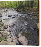 Upstate New York - Ten Mile River Narrowsburg Wood Print
