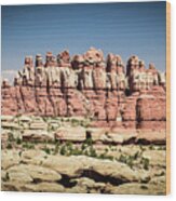 Utah Canyonlands Photography 20180515-25 Wood Print