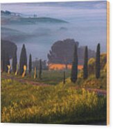 Val D'orcia Wood Print