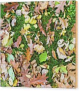 Various Leaves Fallen On Grass In Autumn Fall Wood Print