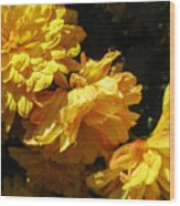 Very Yellow Marigolds Wood Print