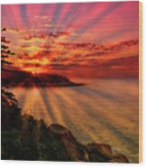 Vibrant Acadia Sunrise Wood Print