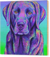 Vibrant Chocolate Labrador Retriever Dog Wood Print