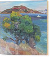 View Angel Island Wood Print