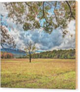 View From Sparks Lane At Cades Cove Townsend Tennessee Wood Print