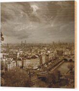 View Of Paris From Notre Dame Wood Print