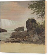 View Of The Canadian Falls And Goat Island Wood Print