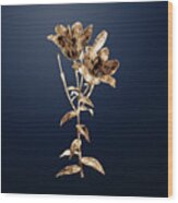 Vintage Flower Gold Orange Bulbous Lily On Midnight Navy N.04529 Wood Print