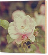 Vintage Pink Rose Wood Print