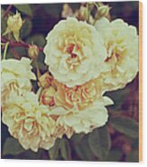 Vintage Roses Wood Print