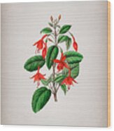 Vintage Standish's Fuchsia Flower Branch Botanical Illustration On Parchment Wood Print