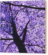 Violet Funky Tree Wood Print