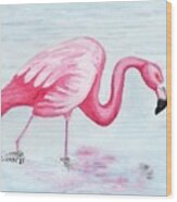 Wading Flamingo Wood Print