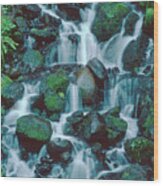 Wahkeena Falls Columbia River Gorge Nsa Oregon Wood Print
