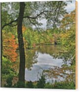 Walden Pond In Central Park Wood Print