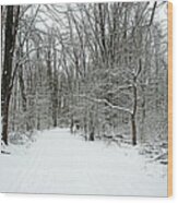Walking A Winter Trail Wood Print