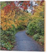 Walking Path Through The Autumn Park Wood Print