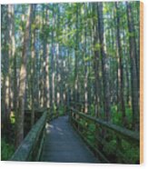 Walkway Through Trees Wood Print