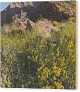 Wall Of Bloom Along Palm Canyon Trail Wood Print