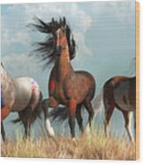 Warrior Horses In War Paint Wood Print