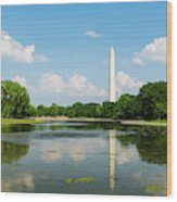 Washington Monument Reflected On A Spring Day Wood Print