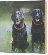 Water Dogs Wood Print