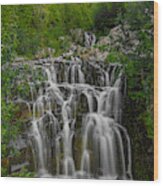 Water Fall In Mount Rainier National Park Wood Print