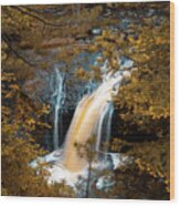 Water Falls Wood Print