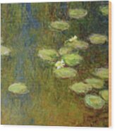 Water Lilies Nr. P005 Wood Print