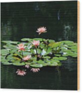 Water Lilies 10 Wood Print