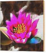 Water Lily Wood Print