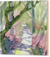 Watercolor A Single Pathway Painting Wood Print