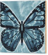 Watercolor Butterfly In Teal Blue Sky Viii Wood Print
