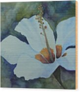 Watercolor Lily Wood Print